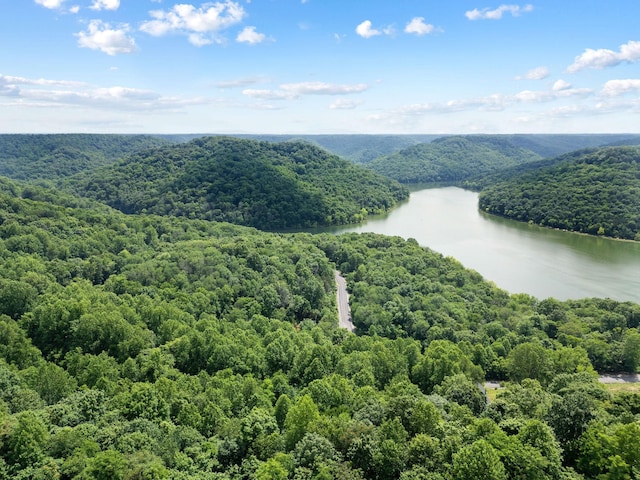 1440 Shoreside Dr, Smithville, TN 37166 - photo 65
