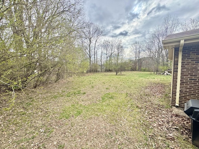 345 Lockert Pl, Clarksville, TN 37043 - view of green lawn