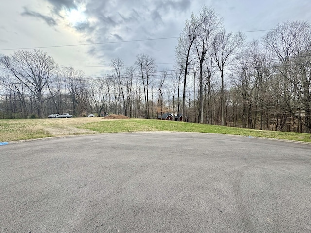 345 Lockert Pl, Clarksville, TN 37043 - view of asphalt street