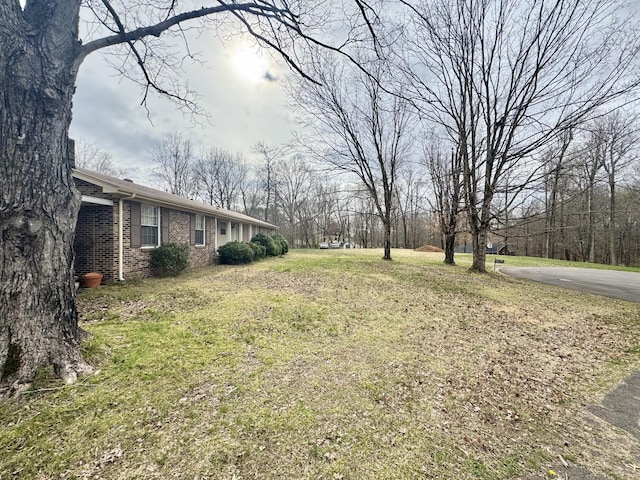345 Lockert Pl, Clarksville, TN 37043 - view of green lawn