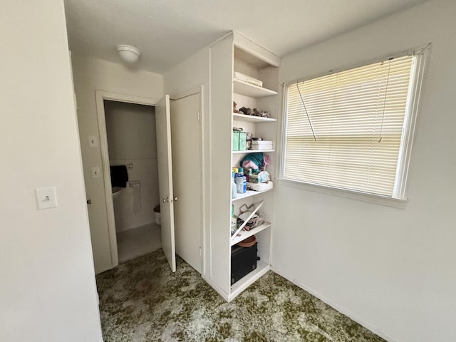345 Lockert Pl, Clarksville, TN 37043 - hall with carpet
