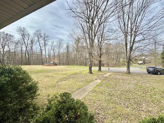 345 Lockert Pl, Clarksville, TN 37043 - view of green lawn