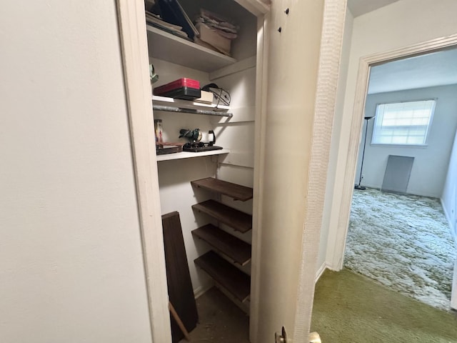 345 Lockert Pl, Clarksville, TN 37043 - view of closet