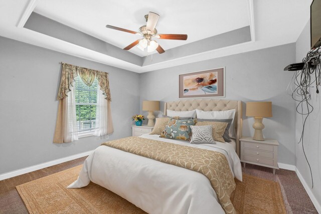 1056 Orion Jones Rd, Chapmansboro, TN 37035 - bedroom with a tray ceiling, carpet flooring, and ceiling fan