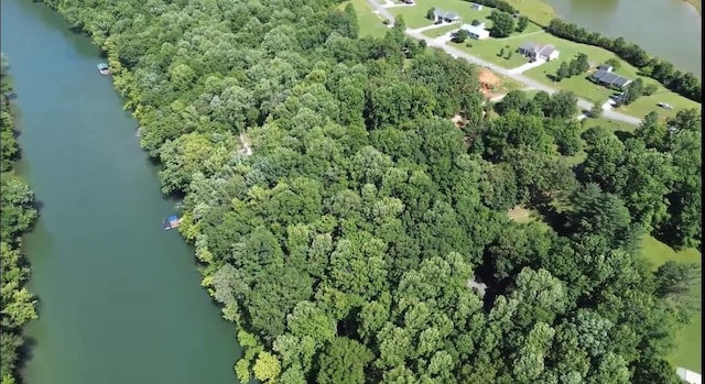 267 Collins River Dr, Rock Island, TN 38581 - photo 5