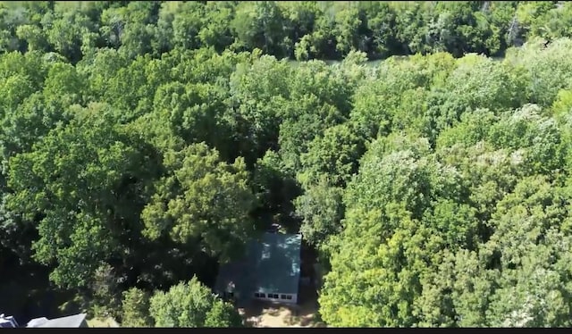 267 Collins River Dr, Rock Island, TN 38581 - photo 3