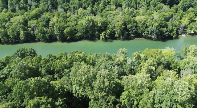 267 Collins River Dr, Rock Island, TN 38581 - photo 1