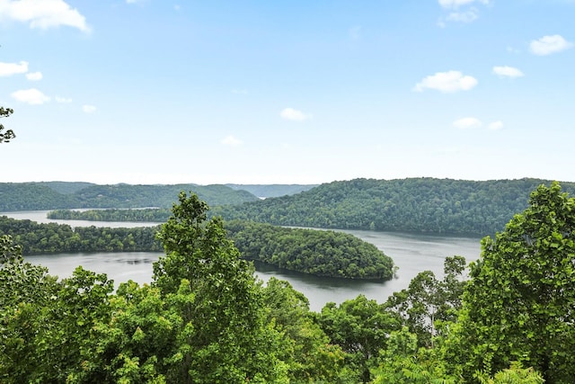 1853 Lafever Ridge Rd, Silver Point, TN 38582 - water view featuring a forest