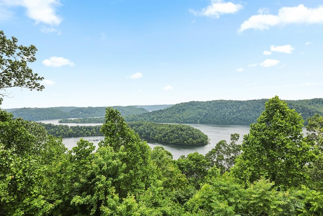 1853 Lafever Ridge Rd, Silver Point, TN 38582 - water view with a heavily wooded area
