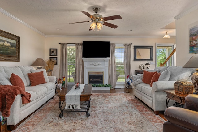 154 Jasons Way, Leoma, TN 38468 - living room with ceiling fan, crown molding, wood finished floors, a textured ceiling, and a fireplace with raised hearth