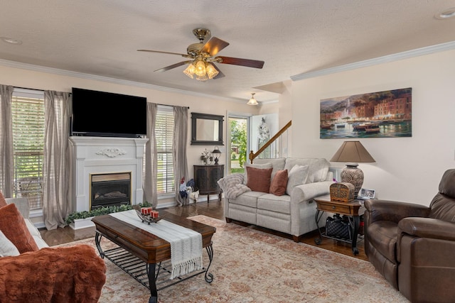 154 Jasons Way, Leoma, TN 38468 - living room featuring crown molding, a ceiling fan, wood finished floors, a glass covered fireplace, and a textured ceiling