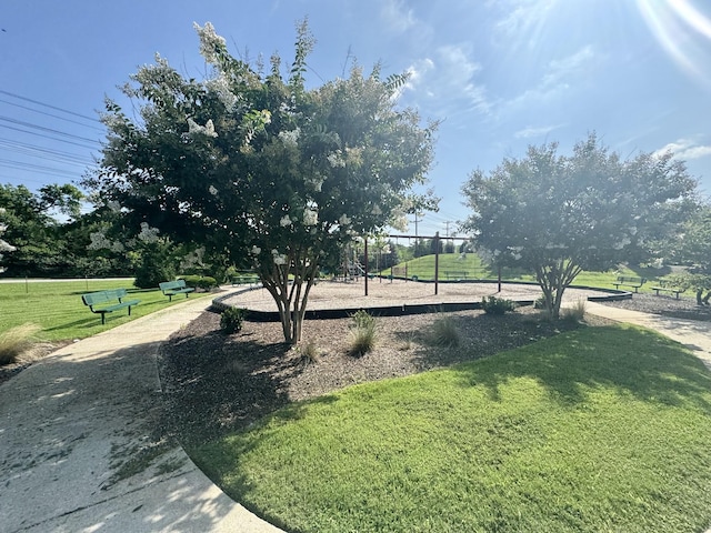 18 Pointer Pl, Lebanon, TN 37087 - view of grassy yard