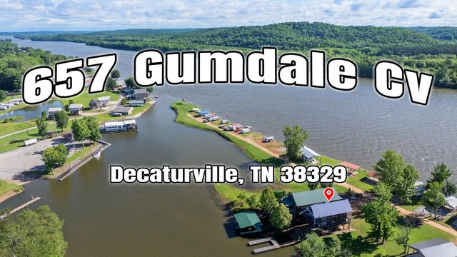 657 Gumdale Cv, Decaturville, TN 38329 - photo 46