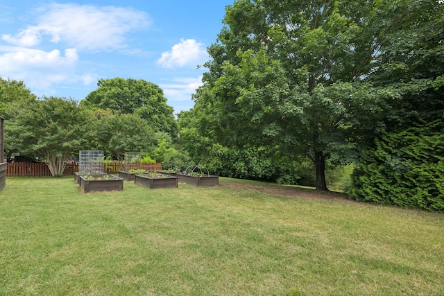 119 Abercairn Dr, Franklin, TN 37064 - view of yard featuring a vegetable garden