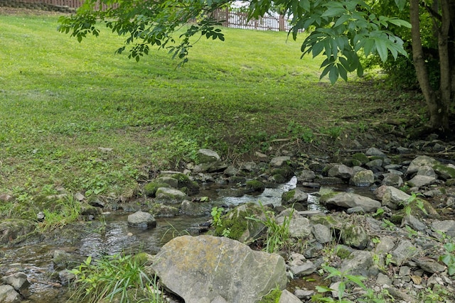 119 Abercairn Dr, Franklin, TN 37064 - view of yard