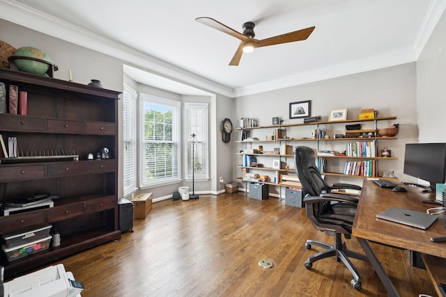 119 Abercairn Dr, Franklin, TN 37064 - home office with ceiling fan, wood finished floors, crown molding, and baseboards