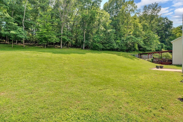 2564 Treetop Dr, Antioch, TN 37013 - photo 48