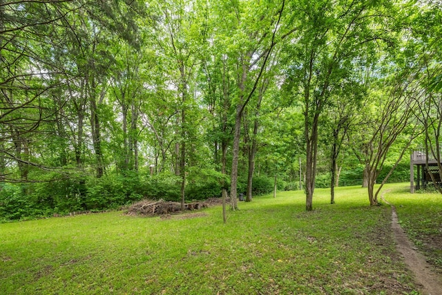 2520 Johnson Ridge Rd, Antioch, TN 37013 - view of green lawn