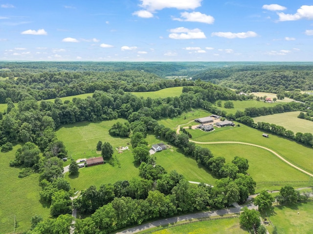 4291 Skelley Rd, Santa Fe, TN 38482 - view of rural area featuring a pastoral area