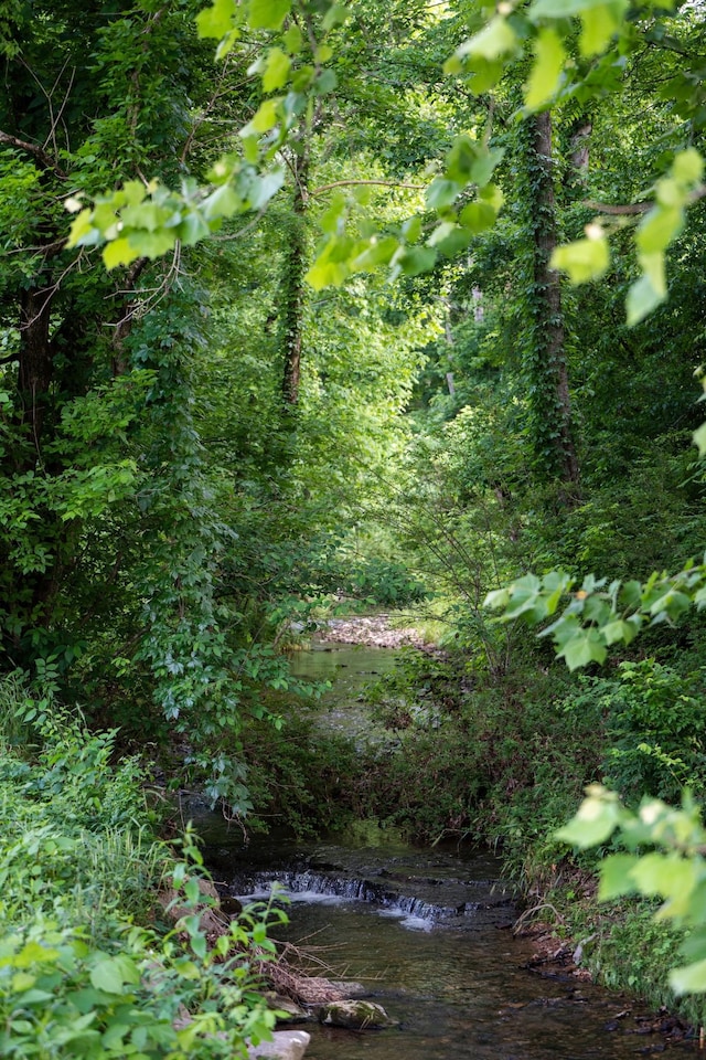 4291 Skelley Rd, Santa Fe, TN 38482 - view of tree filled area