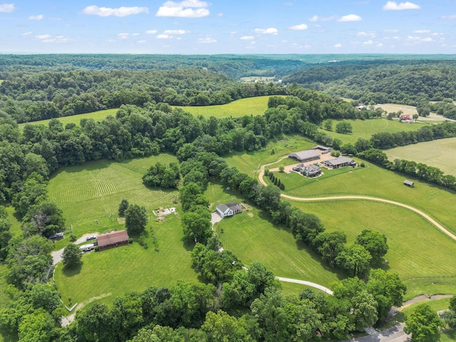 4291 Skelley Rd, Santa Fe, TN 38482 - aerial view of sparsely populated area with a forest