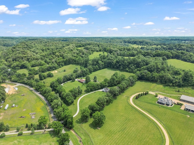 4291 Skelley Rd, Santa Fe, TN 38482 - aerial view of sparsely populated area with a forest