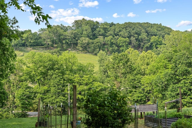 4291 Skelley Rd, Santa Fe, TN 38482 - mountain view with a heavily wooded area