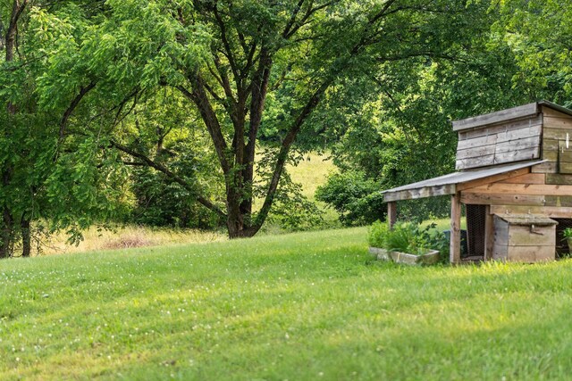 4291 Skelley Rd, Santa Fe, TN 38482 - view of green lawn featuring exterior structure and a forest view