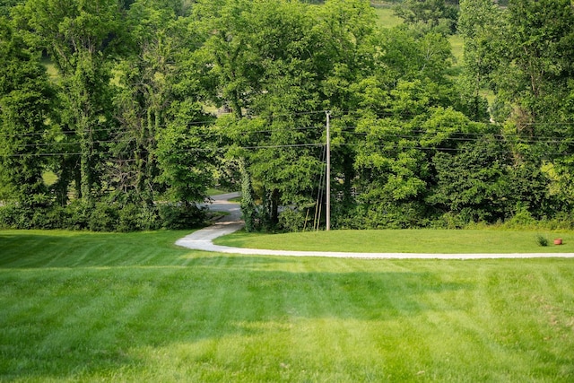 4291 Skelley Rd, Santa Fe, TN 38482 - view of grassy yard
