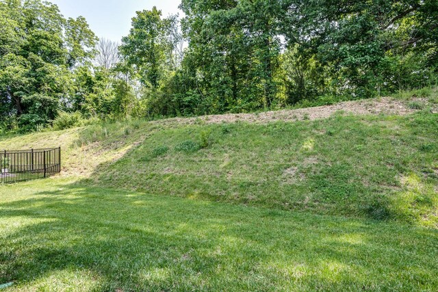 1003 Autumnwood Dr, Dickson, TN 37055 - view of yard