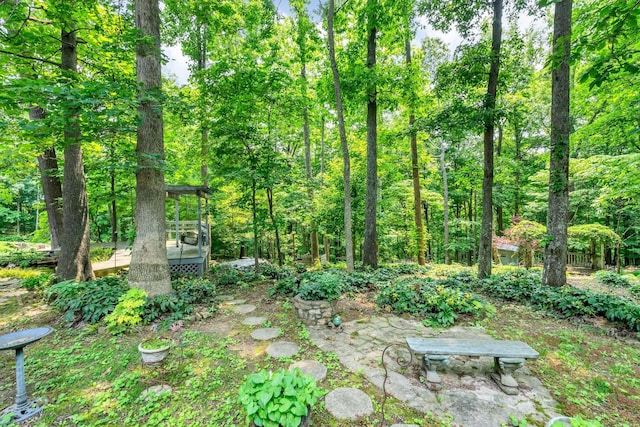 4090 Ironwood Dr, Greenbrier, TN 37073 - view of yard featuring a wooden deck