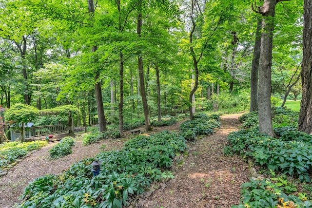 4090 Ironwood Dr, Greenbrier, TN 37073 - view of tree filled area