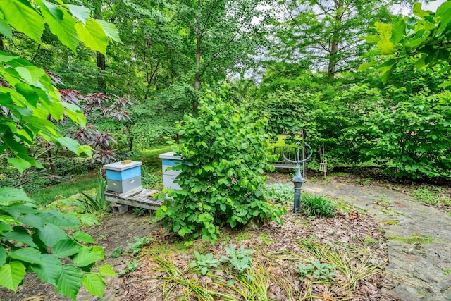 4090 Ironwood Dr, Greenbrier, TN 37073 - view of yard