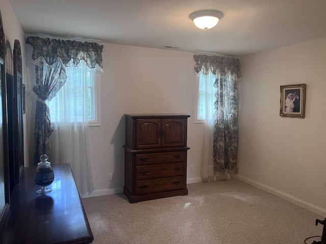 4090 Ironwood Dr, Greenbrier, TN 37073 - photo 21