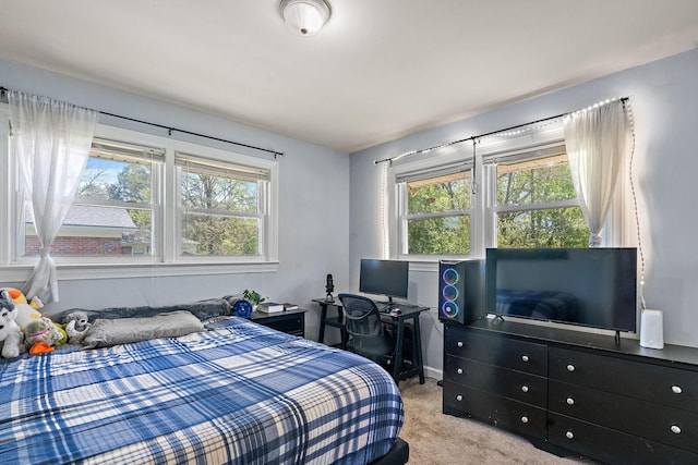 1618 Woodside Dr, Lebanon, TN 37087 - view of carpeted bedroom