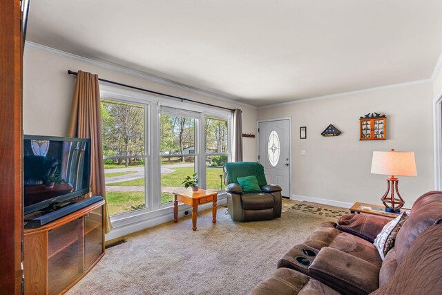 1618 Woodside Dr, Lebanon, TN 37087 - living area featuring ornamental molding, carpet, and baseboards