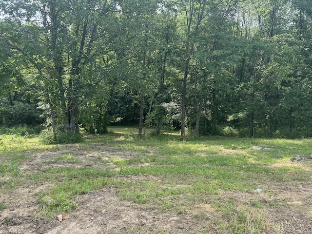 971 Palmer Rd, Lebanon, TN 37087
