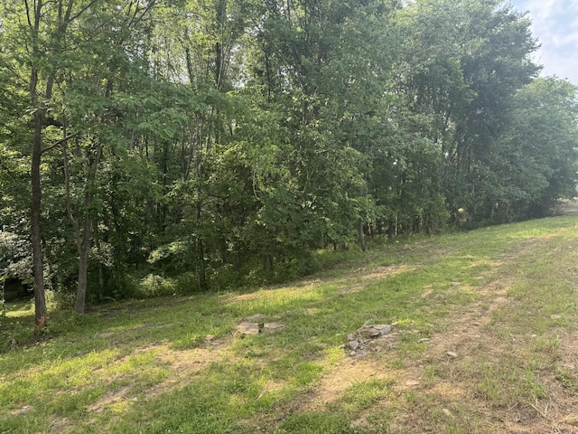 971 Palmer Rd, Lebanon, TN 37087