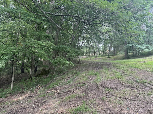 971 Palmer Rd, Lebanon, TN 37087
