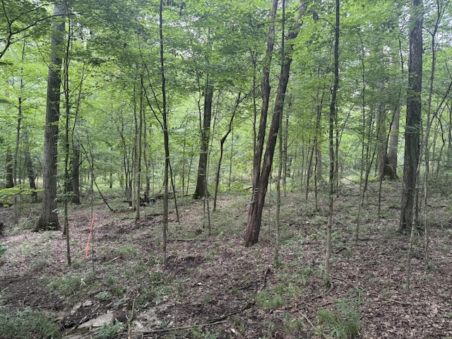 971 Palmer Rd, Lebanon, TN 37087