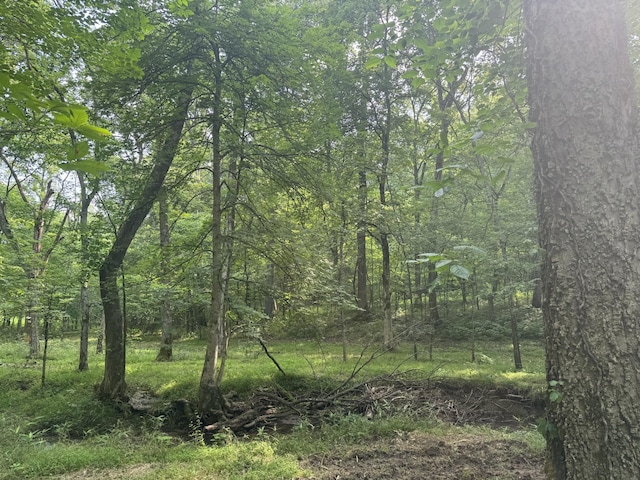 971 Palmer Rd, Lebanon, TN 37087
