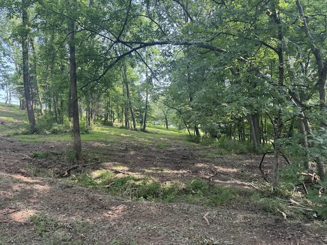 971 Palmer Rd, Lebanon, TN 37087