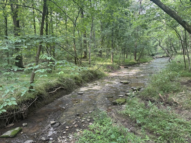 971 Palmer Rd, Lebanon, TN 37087