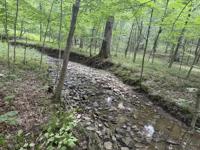 971 Palmer Rd, Lebanon, TN 37087
