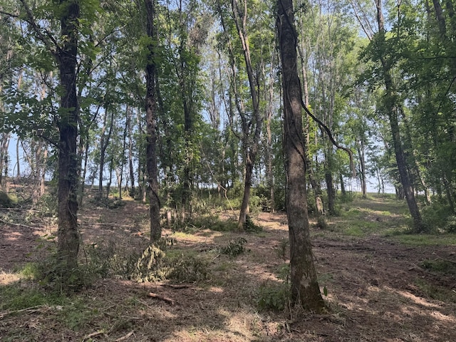 971 Palmer Rd, Lebanon, TN 37087
