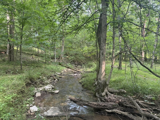 971 Palmer Rd, Lebanon, TN 37087