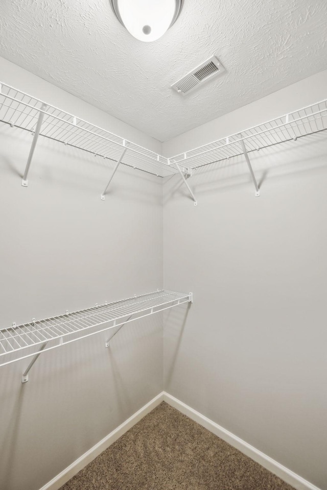 4219 Zephyr Ct, Murfreesboro, TN 37128 - spacious closet featuring carpet