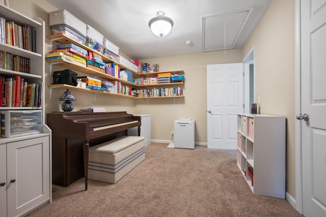 7116 Meadow View Dr, Fairview, TN 37062 - miscellaneous room featuring attic access and light colored carpet