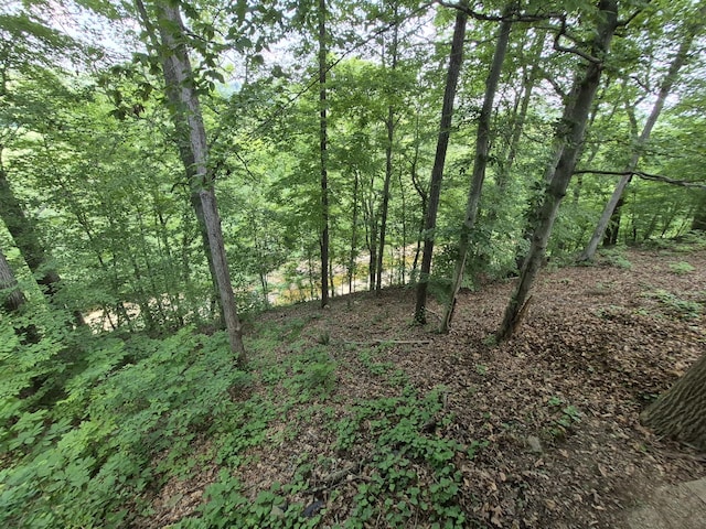 1140 Morriswood Dr, Joelton, TN 37080 - view of tree filled area