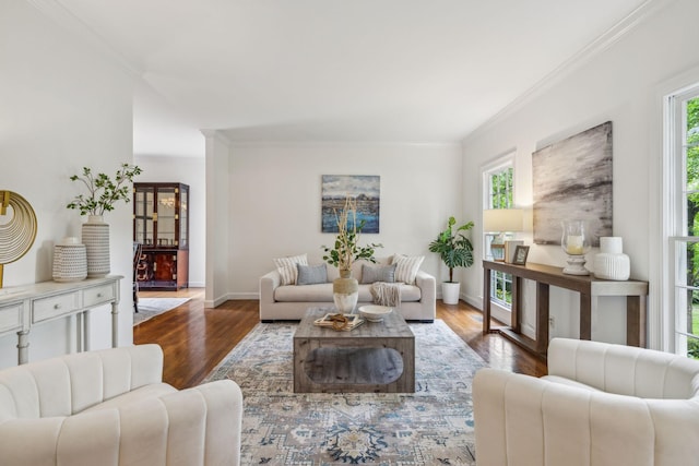 907 Paddock Park, Nashville, TN 37220 - living area featuring ornamental molding, wood finished floors, and baseboards